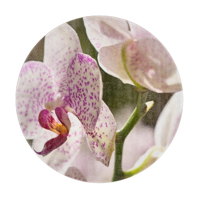 Orchids von Shirley Taylor Schneidebrett (Vorderseite)