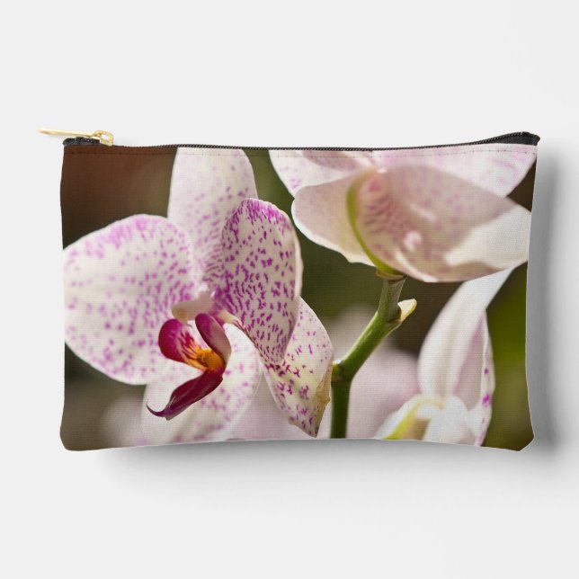 Orchids von Shirley Taylor Zubehörtasche (Vorderseite)