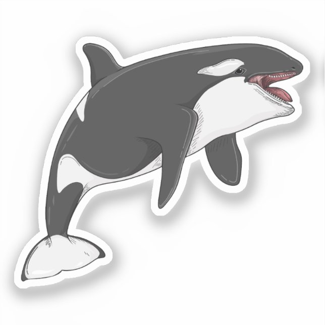 Orcinus Orca Vektorgrafik Aufkleber (Vorderseite)
