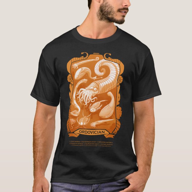 Ordovizium T-Shirt (Vorderseite)