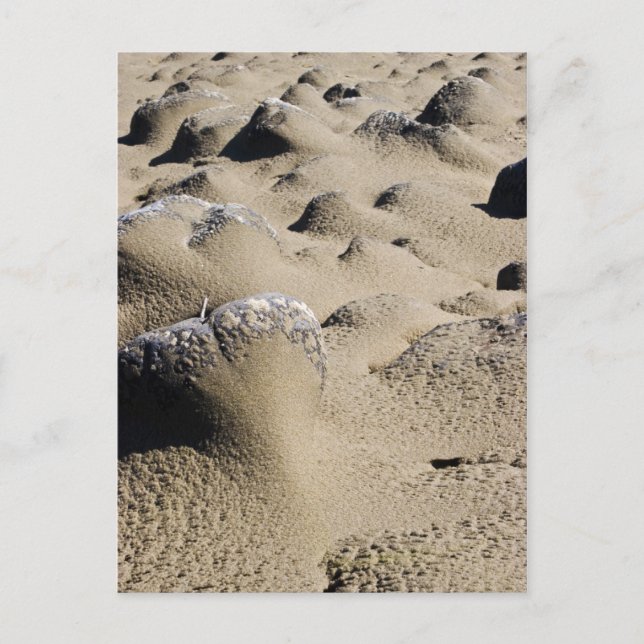 Oregon Beach Postkarte (Vorderseite)