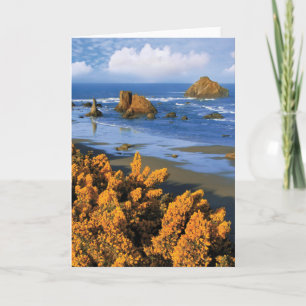 Oregon Beach View in Bandon Karte