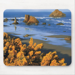 Oregon Beach View in Bandon Mousepad