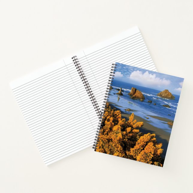 Oregon Beach View in Bandon Notizbuch (Innenseite)
