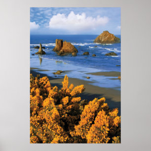 Oregon Beach View in Bandon Poster