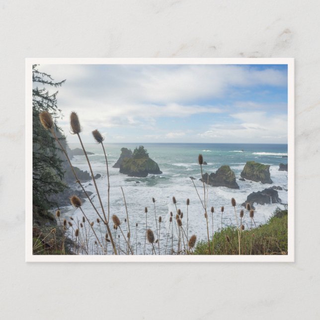 Oregon Coast Arch Rock State Park Brookings Beach Postkarte (Vorderseite)