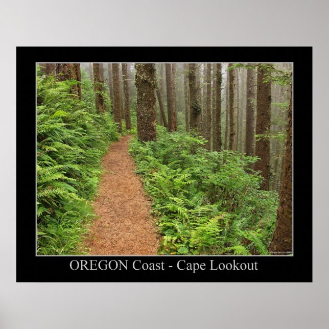 Oregon Coast - Cape Lookout Poster (Vorne)
