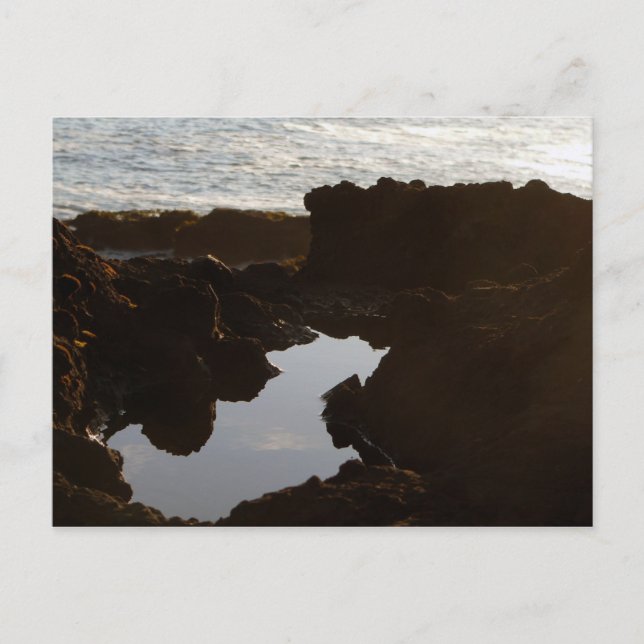 Oregon Coast Cloud Pool Postkarte (Vorderseite)