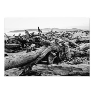 Oregon Coast Driftwood Black and White Print Fotodruck