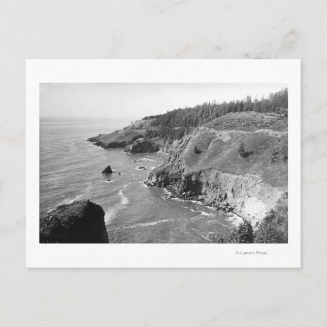 Oregon Coast North from Look Out Cape Fowlweave Postkarte (Vorderseite)