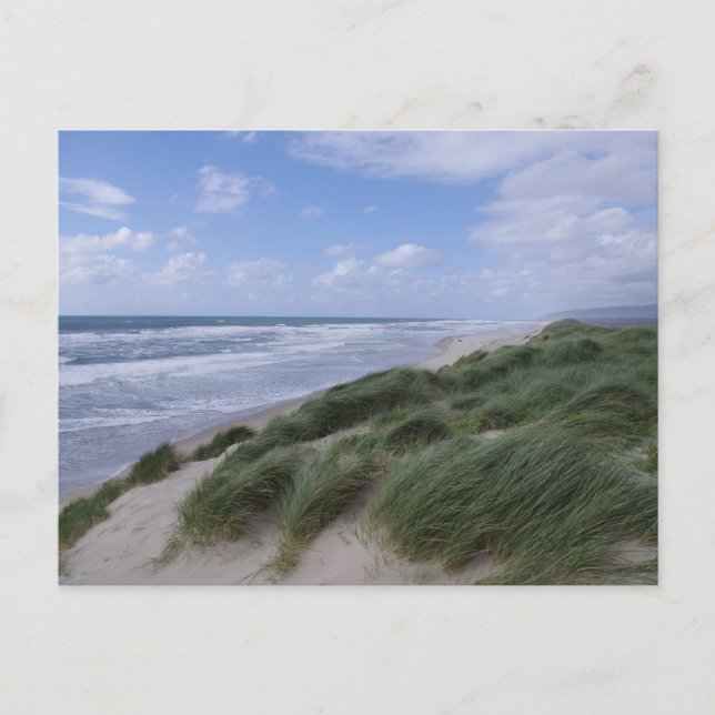 Oregon Coast Postcard Postkarte (Vorderseite)