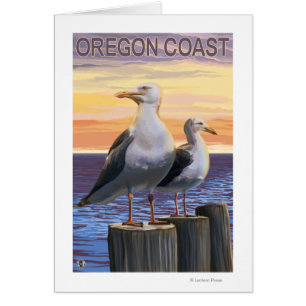 Oregon Coast Sea Gulls