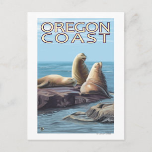 Oregon Coast Sea Lions Postkarte