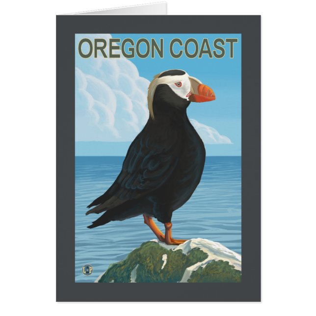 Oregon Coast Tufin Puffin (Vorne)