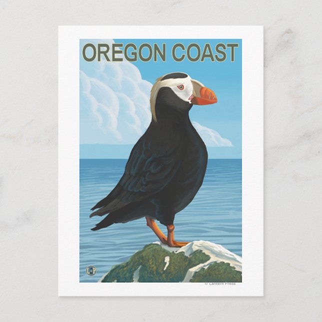 Oregon Coast Tufin Puffin Postkarte (Vorderseite)