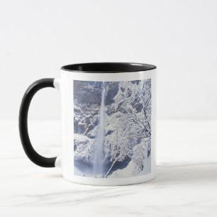 Oregon, Columbia Gorge National Scenics Area, Tasse