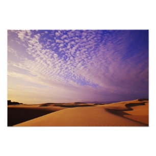 Oregon Dunes National Recreation Area, Oregon Fotodruck