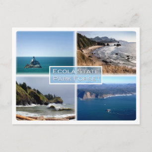 Oregon - Ecola Staat Park Forset - Postkarte