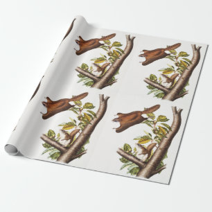 Oregon Flying Eichhörnchen (Pteromys Origonensis) Geschenkpapier
