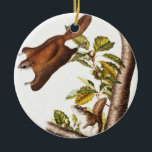 Oregon Flying Eichhörnchen (Pteromys Origonensis) Keramik Ornament<br><div class="desc">Oregon Flying Eichhörnchen (Pteromys Origonensis) aus den viviparösen Viervölkern Nordamerikas (1845) illustriert von John Woodhouse Audubon (1812-1862)</div>