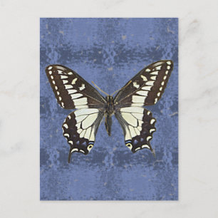 Oregon Frack Butterfly Postkarte