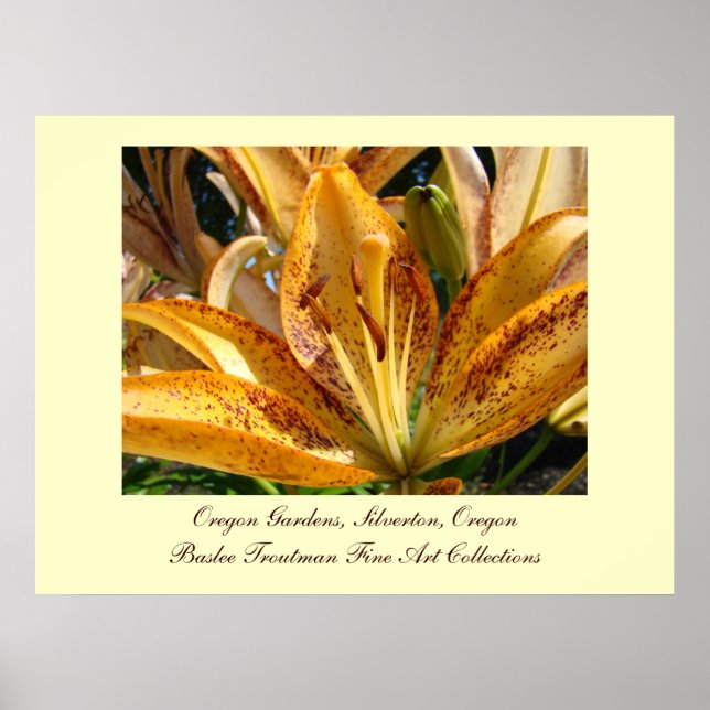 Oregon Gardens Silverton Golden Lido Blume Poster (Vorne)