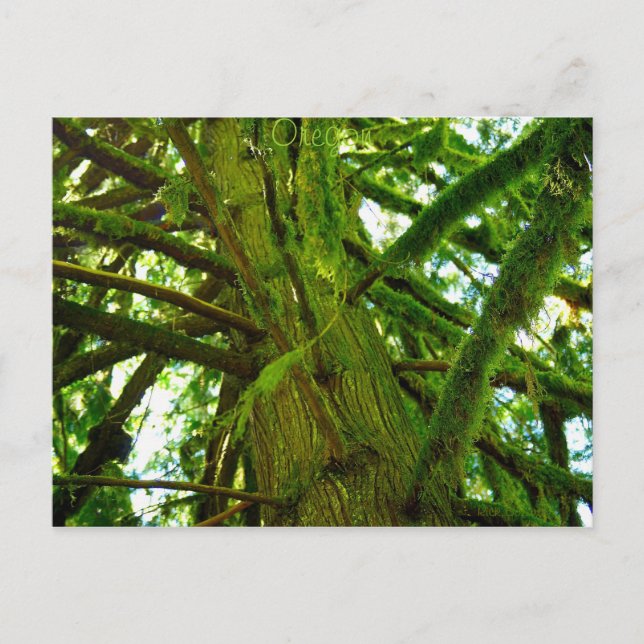 Oregon Green Postkarte (Vorderseite)