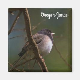 Oregon Junco Magnet