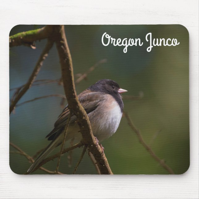 Oregon Junco Mousepad (Vorne)