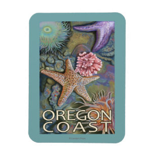 Oregon-Küste Tidepool Magnet