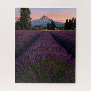 Oregon Lavender Field mit Blick auf den Monte Hood Puzzle