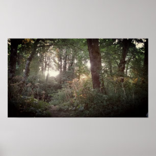 Oregon-Magie - Plakat