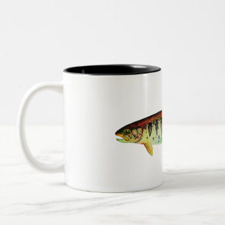 Oregon Redband Trout; Tasse
