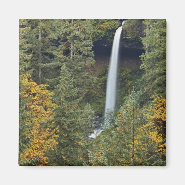 Oregon, Silver Falls Staat Park, North Falls Magnet (Vorne)