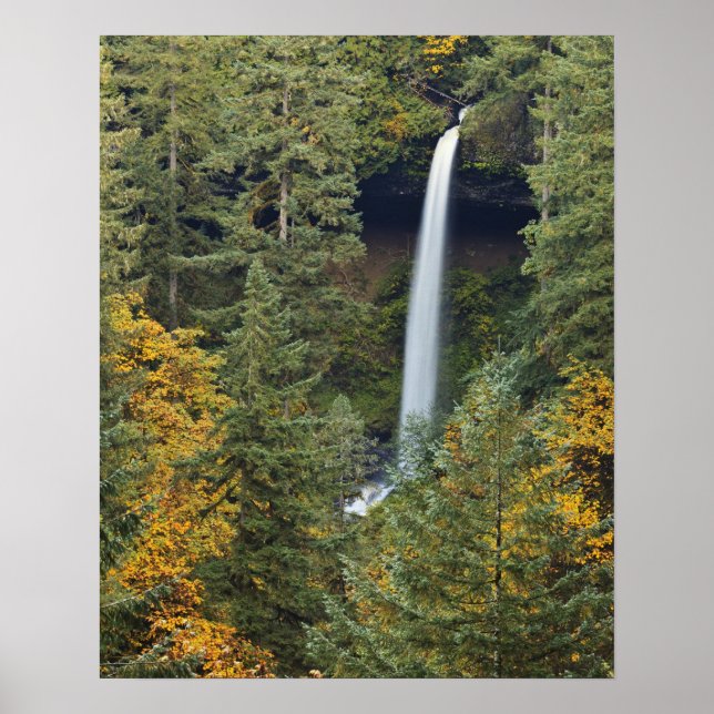Oregon, Silver Falls Staat Park, North Falls Poster (Vorne)