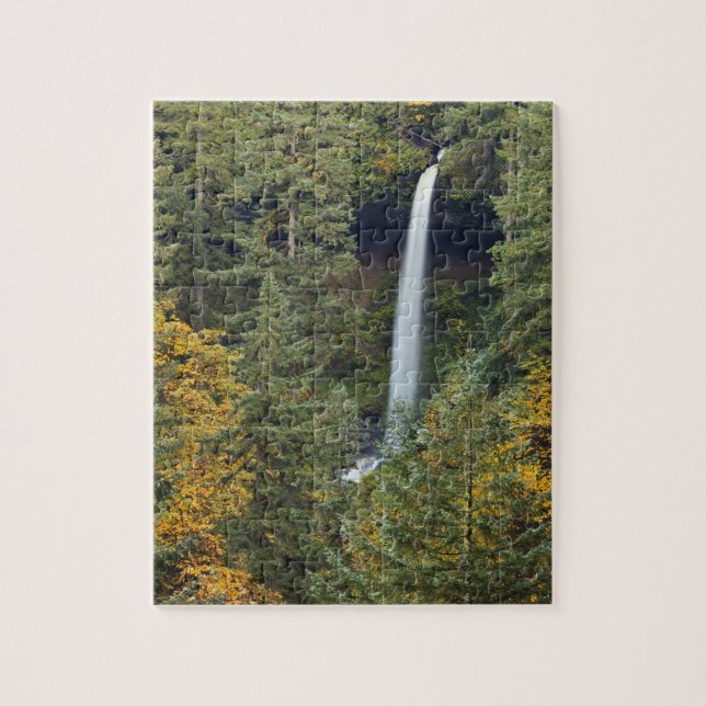 Oregon, Silver Falls Staat Park, North Falls Puzzle (Vertikal)