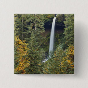 Oregon, Silver Falls State Park, North Falls Button