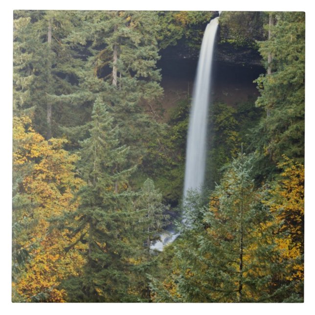 Oregon, Silver Falls State Park, North Falls Fliese (Vorderseite)