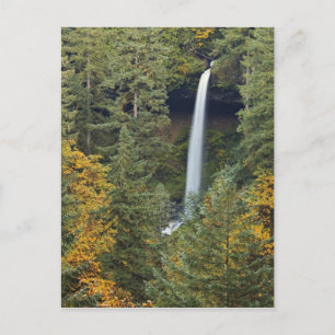 Oregon, Silver Falls State Park, North Falls Postkarte