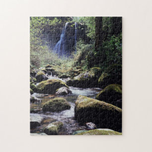 Oregon, Siskiyou National Forest, Elk Creek Puzzle