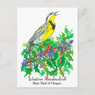 Oregon Staat Blume Bird Meadowlark Postkarte