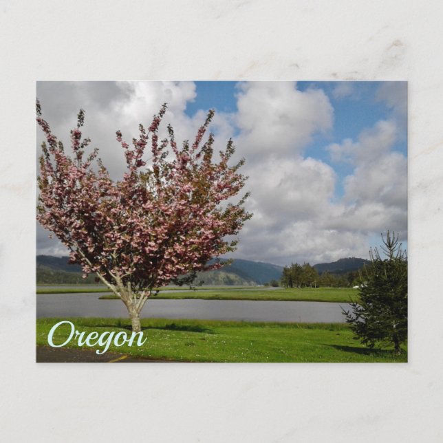 Oregon Staat Postkarte (Vorderseite)
