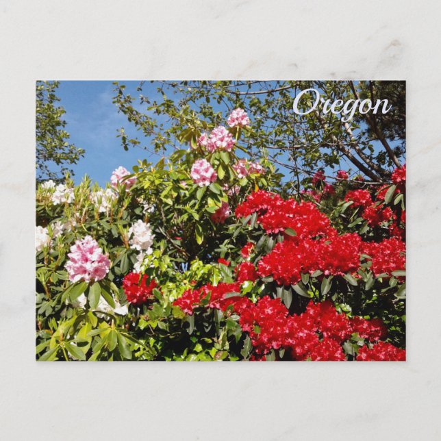 Oregon Staat Postkarte (Vorderseite)
