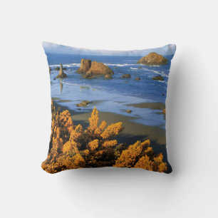 Oregon Strandblick in Bandon Kissen