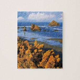 Oregon Strandblick in Bandon Puzzle