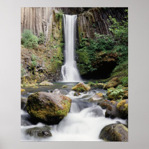 Oregon, Toketee Falls und Basaltfelsen Poster