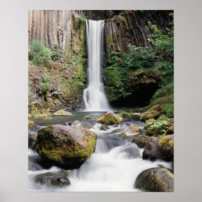 Oregon, Toketee Falls und Basaltgestein Poster (Vorne)