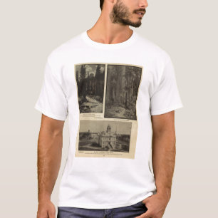 Oregon-Waldriesige Kiefern Piazza, Salem, Oregon T-Shirt