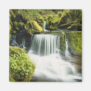 Oregon, Wasserfall im Willamette-Nationalpark Magnet