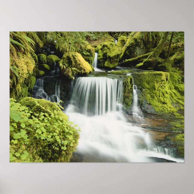 Oregon, Wasserfall in Willamette national Poster (Vorne)
